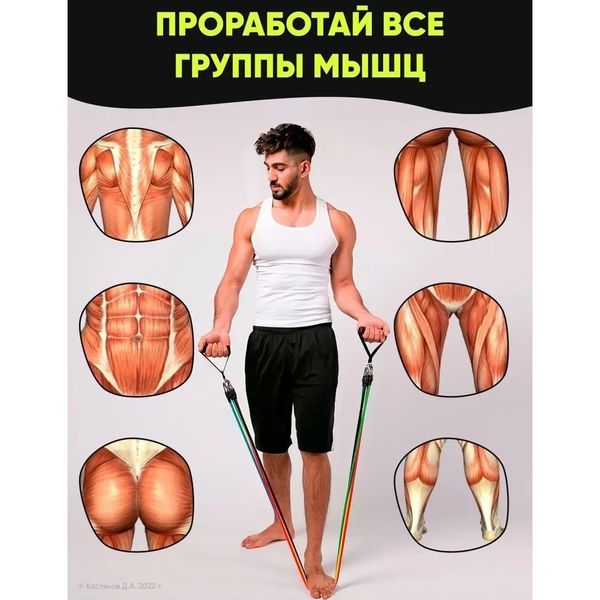 Еспандер гума для зарядок exercise pipe, еспандер гумовий джгут вправи, Фітнес гумки 5 в 1 5006 фото